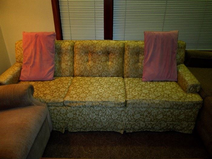 Living Room---Hide-a-bed Couch

