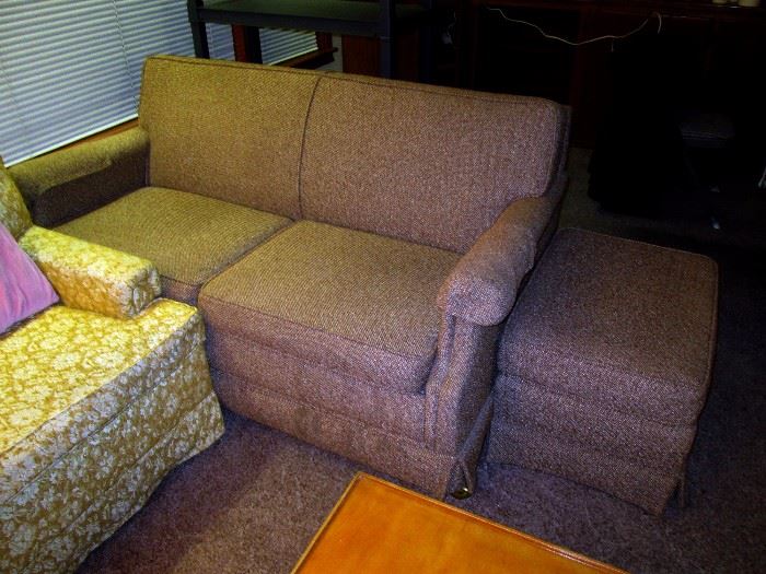 Living Room---Small hide-a-bed Couch, Ottoman