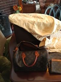Loius Vuitton purse