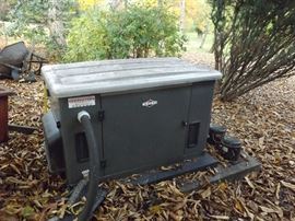 Vanguard 933cc Generator