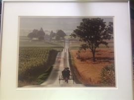 Bill Coleman Amish #585