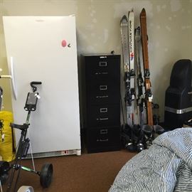 Freezer, file cabinet, golf carts, skis