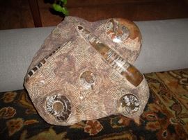 large fossil stone