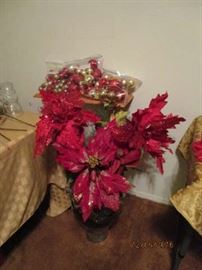 POINSETTIA STEMS
