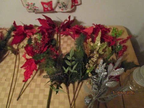 POINSETTIA STEMS AND OTHER