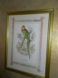 Lithograph print of Birds Pair Chelsae