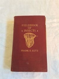 Fieldbook of Insects, Frank E. Lutz, 