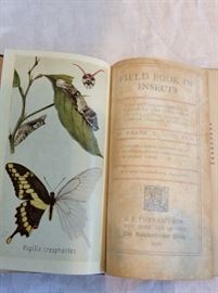 Field Book of Insects.  Color plates. 