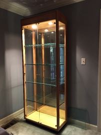 Lighted Curio Cabinet