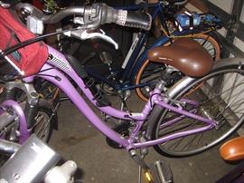 Schwinn "Voyageur" 21 speed womens bike