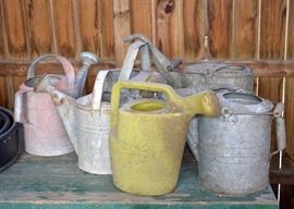 Galvanized Watering Cans