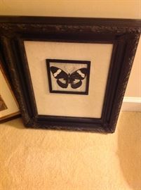 Butterfly Print in Black Wood Framing