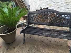 Outdoor bench, palm tree