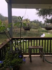 Patio plants and hanging baskets.