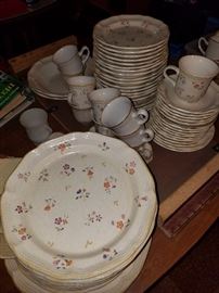 Mikasa Country Charm dishes   $20