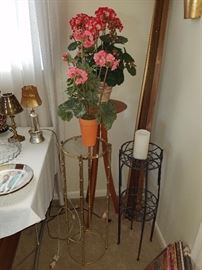 plant stands