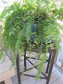 Fern and plant stand