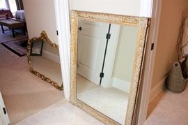 Some of the many Mirrors