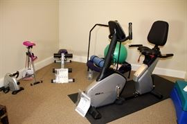 Exercise Equipment, Like New BH Fitness Model LK570 Stationary Bike