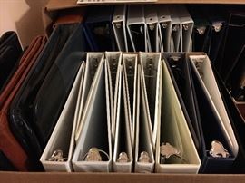 Large collection assorted 3-ring binders.
