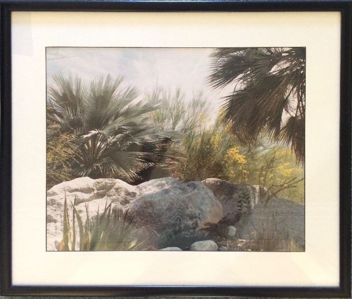 Framed Photograph, "Living Desert" Palm Desert, CA by Robert Hill