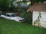 1983 Olds Cutlas Supreme with title