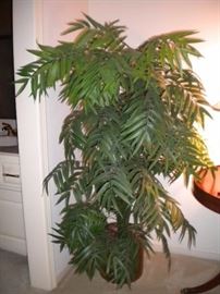 Not live but still cute