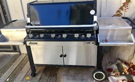Weber Genesis 6 burner grill