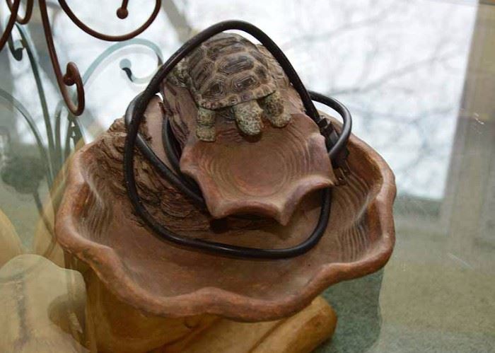 Indoor Water Fountain with Turtle