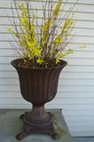 Cast Iron Urn.