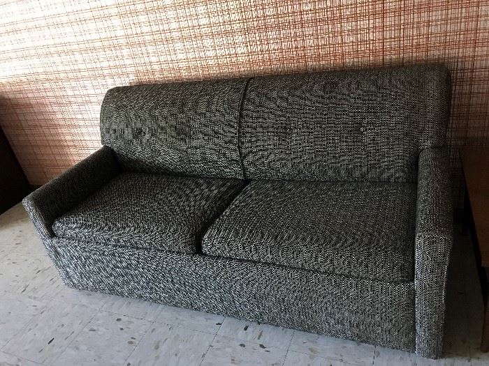Sleeper sofa by Flexsteel