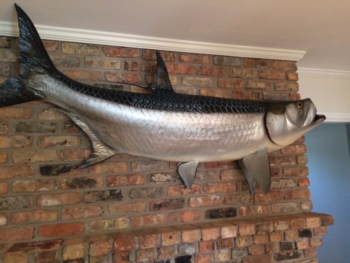 Tarpon - Authentic (original fish).  Caught in Miami, FL
