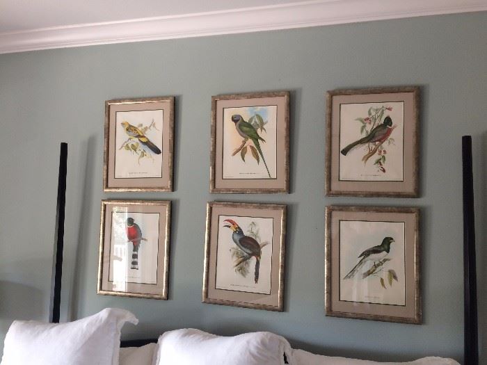 6 of 12 bird prints