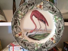 Audubon Plates