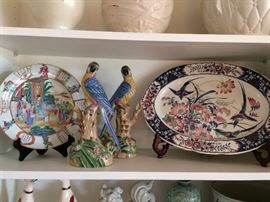 Nice collection of parrots