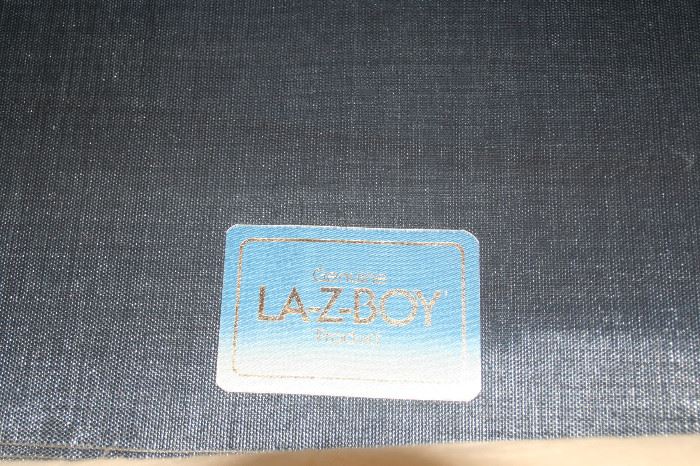 LaZ-Boy sleeper sofa