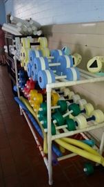 All the pool Toys