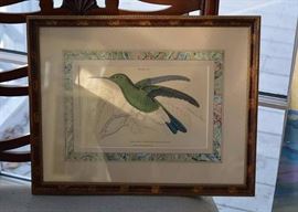 Framed Audubon Bird Print