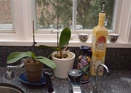 Orchids, Kitchenwares
