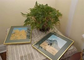 Framed Photographs, Houseplants