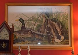 Framed Audubon Print of Ducks