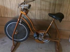Schwinn Exercise Bike