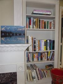 nice assorted book collection