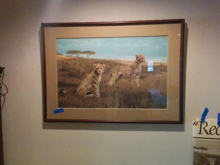 Wildlife print, "Cheetahs" limited edition, by Charles Frace, one of 2500 