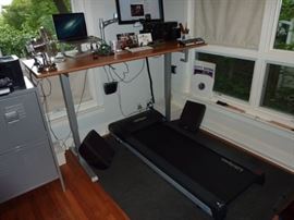 LifeSpan TR1200DT -- Get UP off that chair!