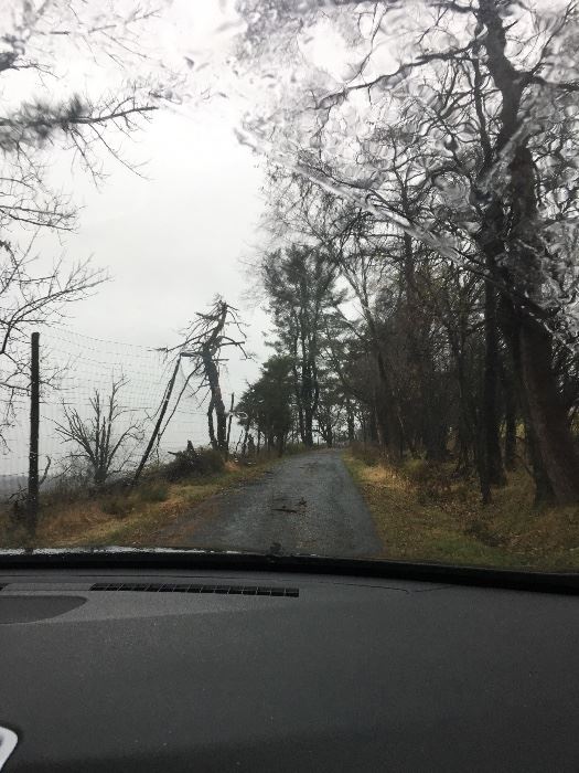 Farm filled with treasures! in Goshen, NY starts on 12/3/2016