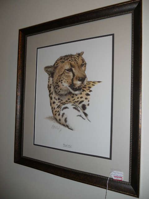 “Cheetah Head” by Guy Coheleach 