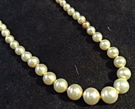 Strand of Pearls
