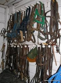 Horse Tack