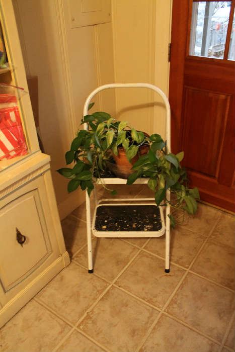 Step stool and plant